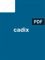 Cadix Area Analysis English (1)