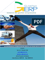 BROCHURE G-Netsys ERP