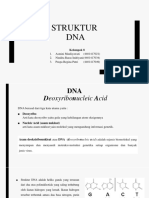 STRUKTUR DNA - Kelompok 8.pptx