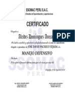 Copia de Seguridad de Diploma Curso BRIGADAS - Ps