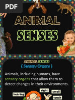 Animal Senses Powerpoint