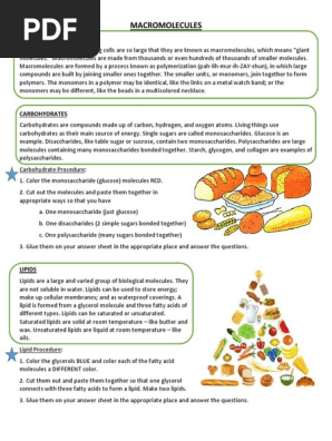 macromolecules_cut_and_paste_2.docx