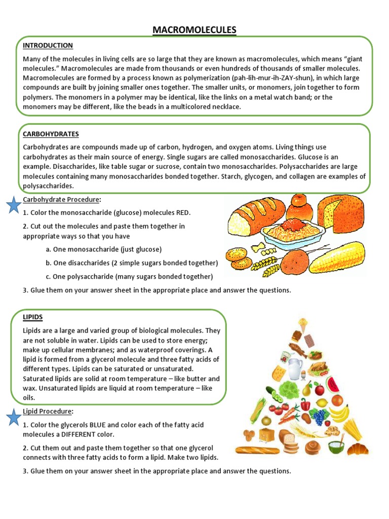 Macromolecules: Structure and Functions | PDF | Macromolecules ...