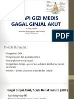 Gagal Ginjal Akut