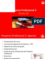 PI3 - Introduccion Al Curso VF 10 Sem 39 PDF