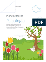 Planes caseros psico.pdf