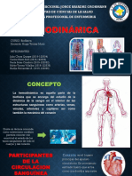 Hemodinámica Completo