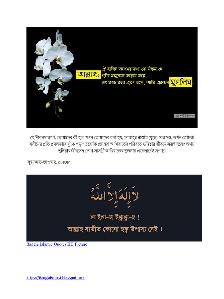 Bangla Islamic Quotes Hd Picture Hadith Islam Related Literature