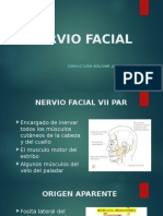 FACIAL