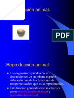 Reproduccionanimal