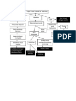 Anemia Pathway