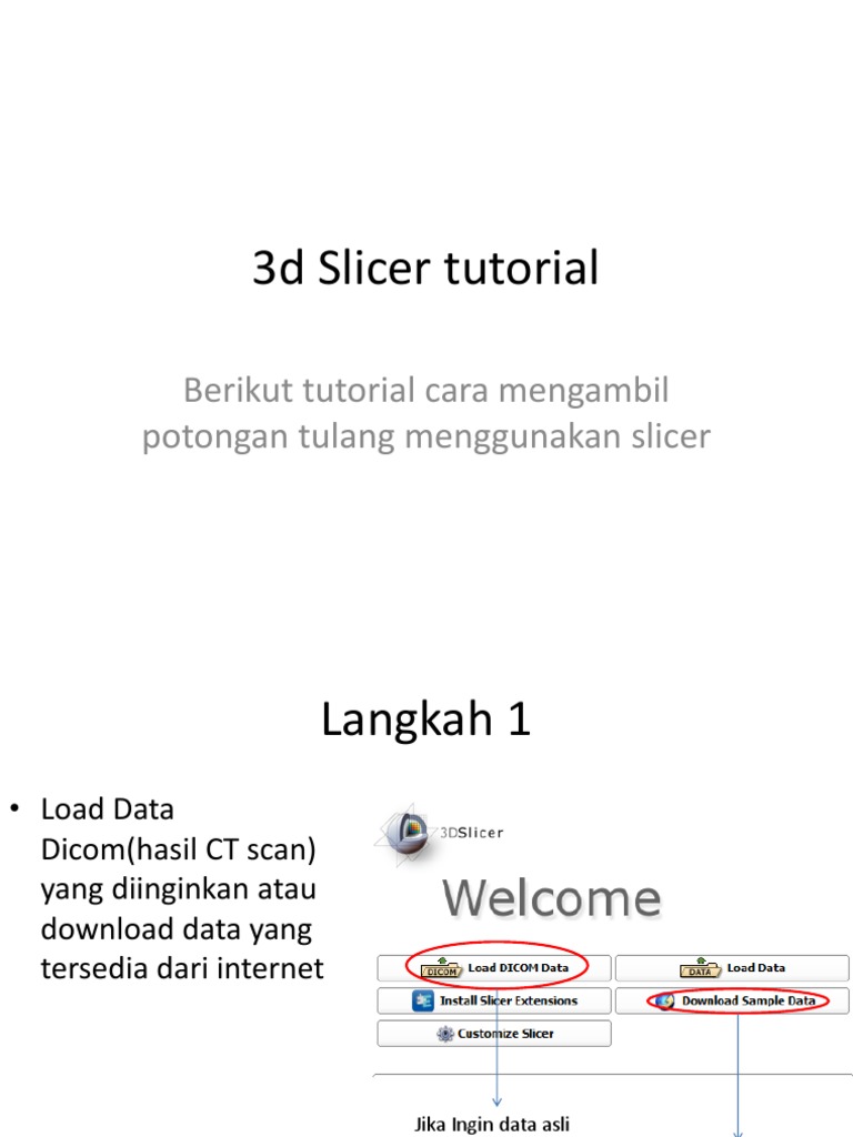Tutorial Penggunaan 3D Slicer | PDF