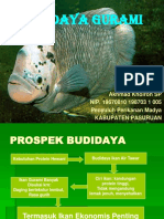 Budidaya Gurami