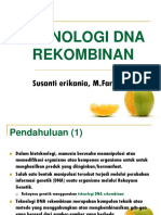 Dna Rekombinan