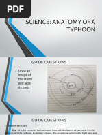 Anatomy of A Typhoon