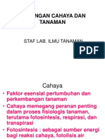 6_hubungan_cahaya_tanaman.ppt