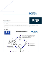 CDC - DPDX - Intestinal Capillariasis
