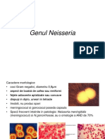 CURS 7. Mitache - Cocii Gram Negativi - Genul Neisseria