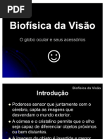 Biofísica da Visão