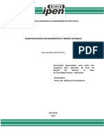 2015SilvaNanotecnologia.pdf