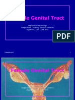 18 Female Gentract 2014