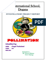 Pollination Types and Process