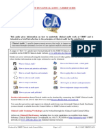 Clinical Audit PDF