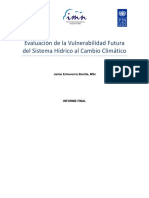 28416_evaluaciondelavulnerabilidadfuturad.pdf