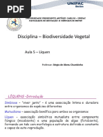 Aula_5_-_Líquen