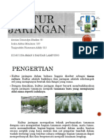 Ppt-Kultur Jaringan PDF