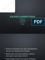 Ascaris Lumbricoides
