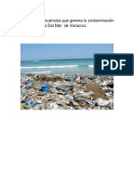 Causas y Consecuencias Que Genera La Contaminación en Las Playa Villa Del Mar de Veracruz