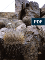 Two new Copiapoas (Cactaceae) para Chile  DCJMB09.pdf