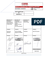 Pet-P-001 - (V0) - Perforación Primaria y Secundaria