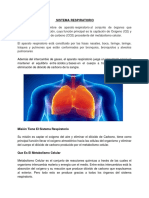 Sistema Respiratorio