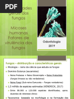Aula 14 2019 Introducao Ao Estudo Dos Fungos