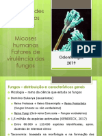 Aula 14 2019 Introducao Ao Estudo Dos Fungos