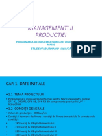 Managementul Productiei - Prezentare