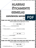 palabras-foneticas-gemelas.pdf