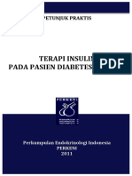 156999421-Petunjuk-Praktis-Terapi-Insulin-2011-Launching.pdf