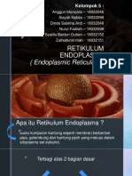 Endoplasm Reticulum Matery