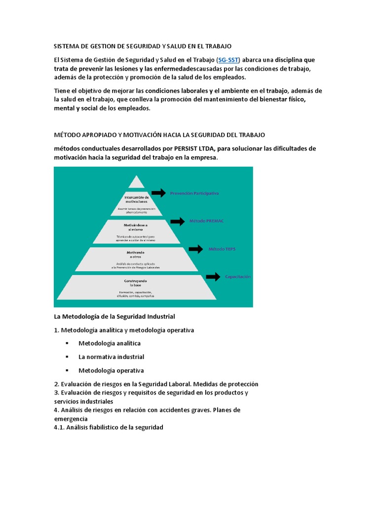 Sistema de Gestion de Seguridad y Salud en El Trabajo | PDF
