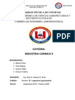 Informe-Carnicos JAMON PDF