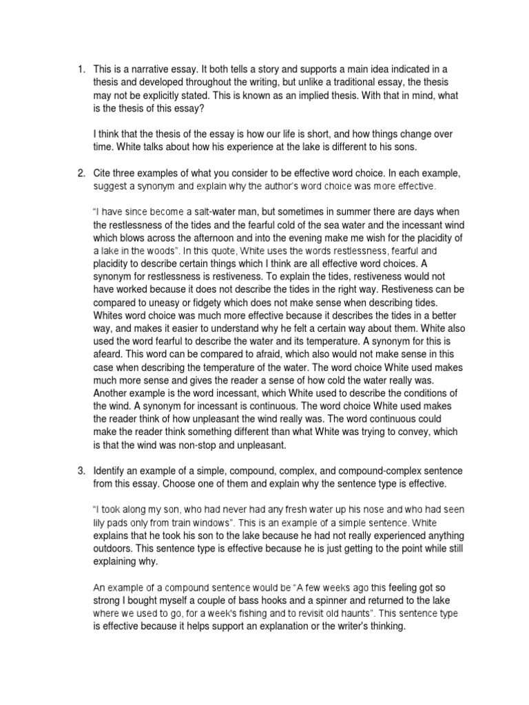 Once more to the lake an appraisal essay picture