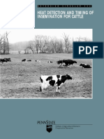 Heat Detection and Timing of Insemination For Cattle PDF