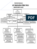 Struktur Organisasi RSUD