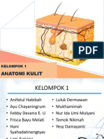 Kelompok 1 Anatomi Kulit.pptx