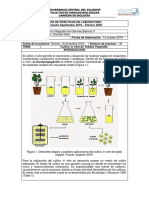 P9_LI5_Cultivo in vitro Tejidos Vegetales