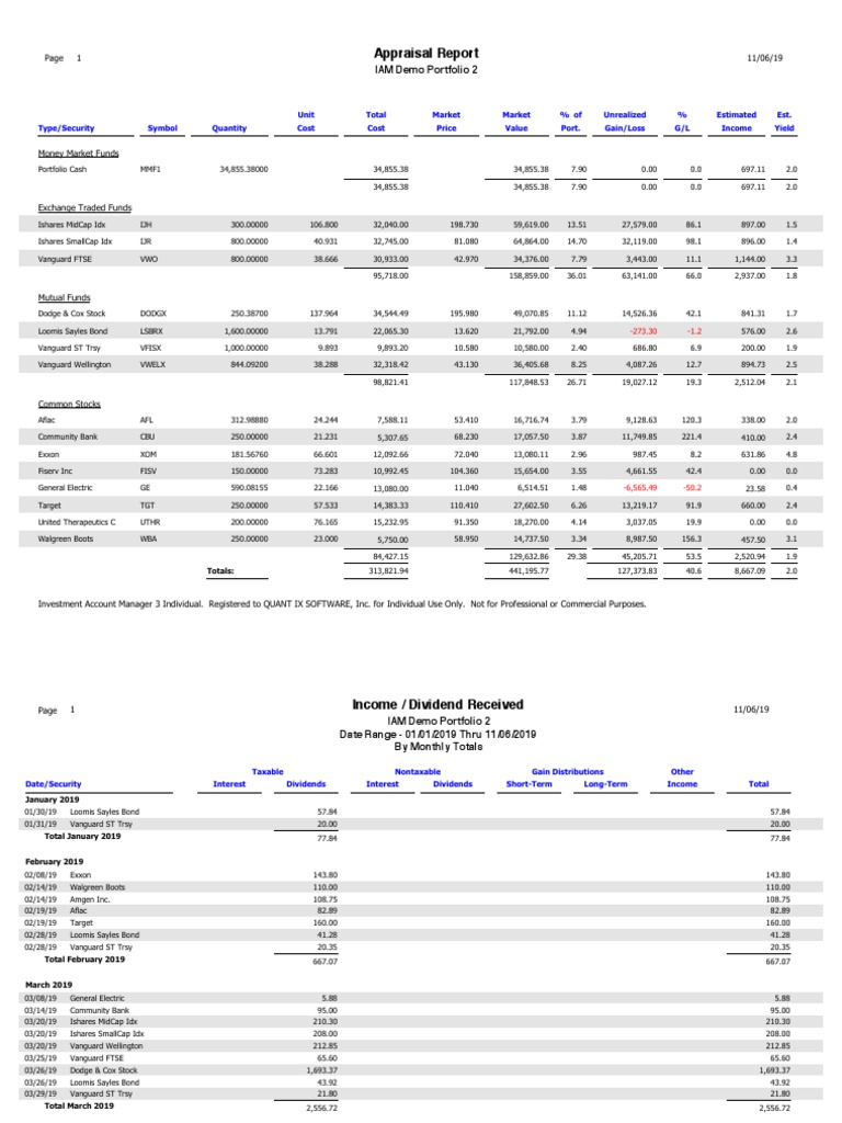 IAMv3 Individual Sample Reports PDF | PDF | The Vanguard Group ...