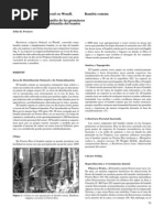 Download Bambusa Vulgaris by Alejandro Soza SN44034672 doc pdf